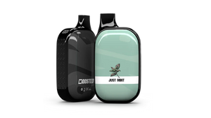 Boosted 9K Disposable Vape
