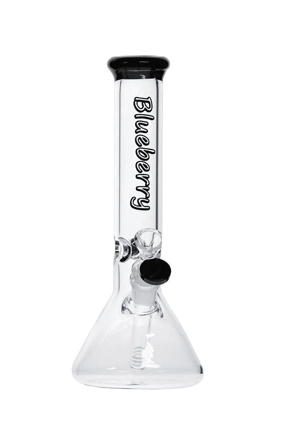 Nice Glass 11" Blueberry Beaker
